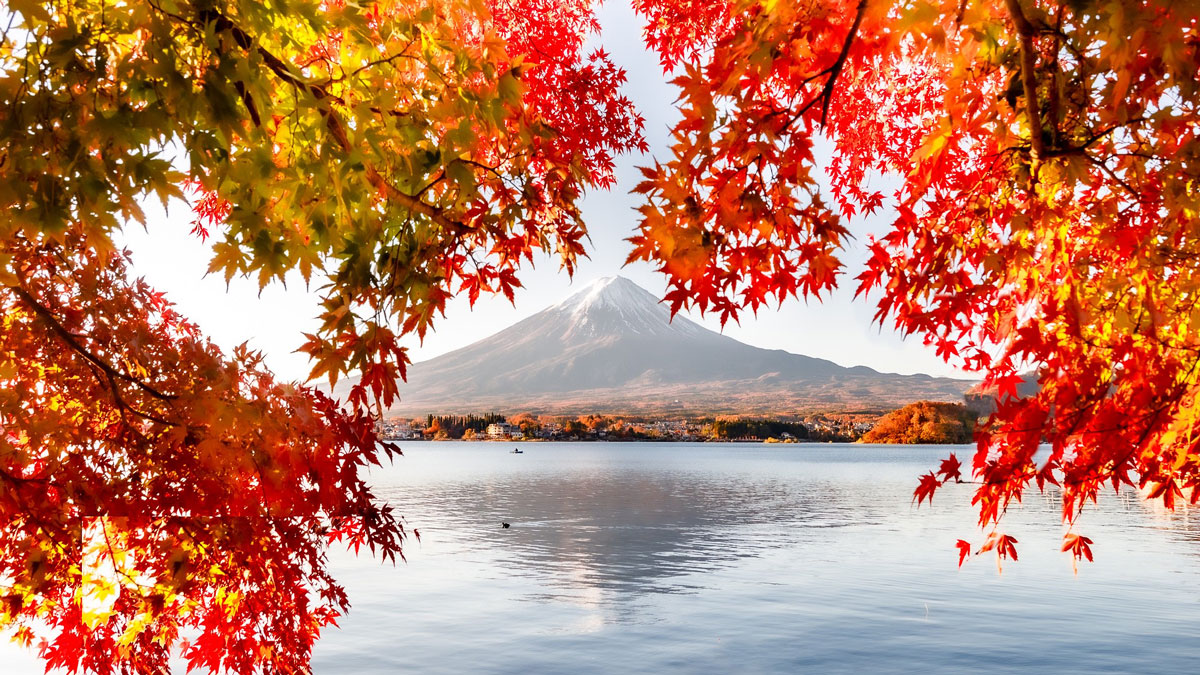 A snow-capped mountain is seen across a lake. The mountain is framed by vibrant red and yellow autumn leaves in the foreground.