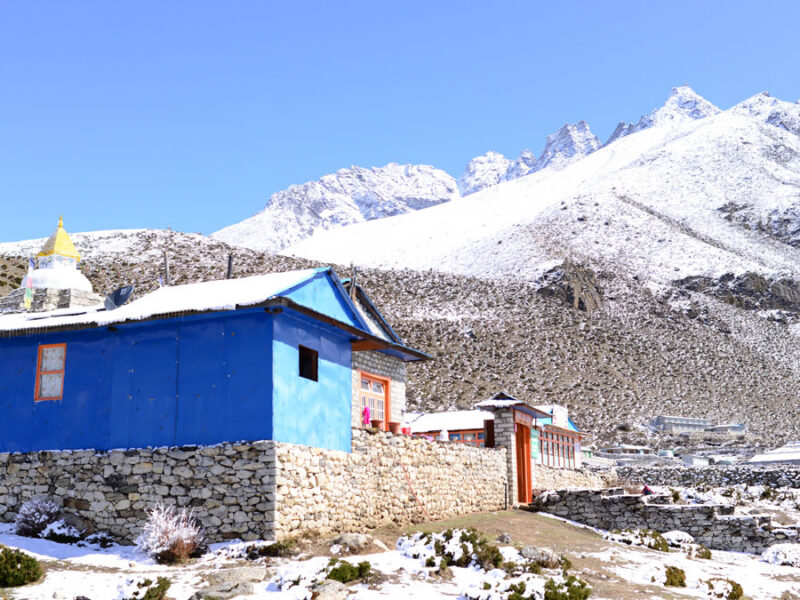 Vegetation Moves Upslope Across the Himalayas