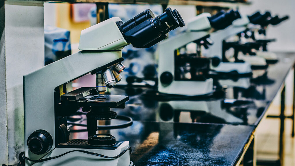 A row of microscopes sit on a lab bench.