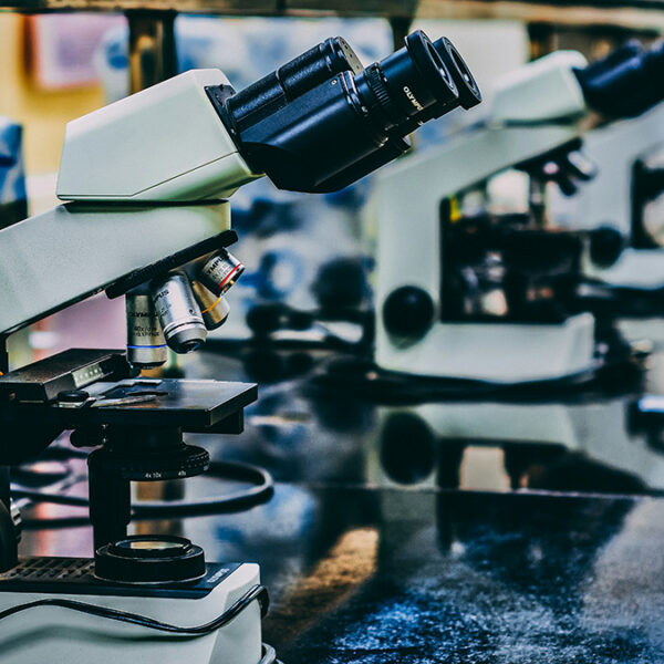 NSF Eliminates Geoscience Postdocs