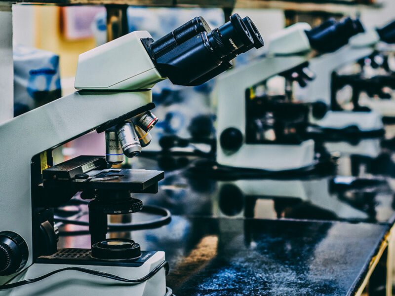 NSF Eliminates Geoscience Postdocs