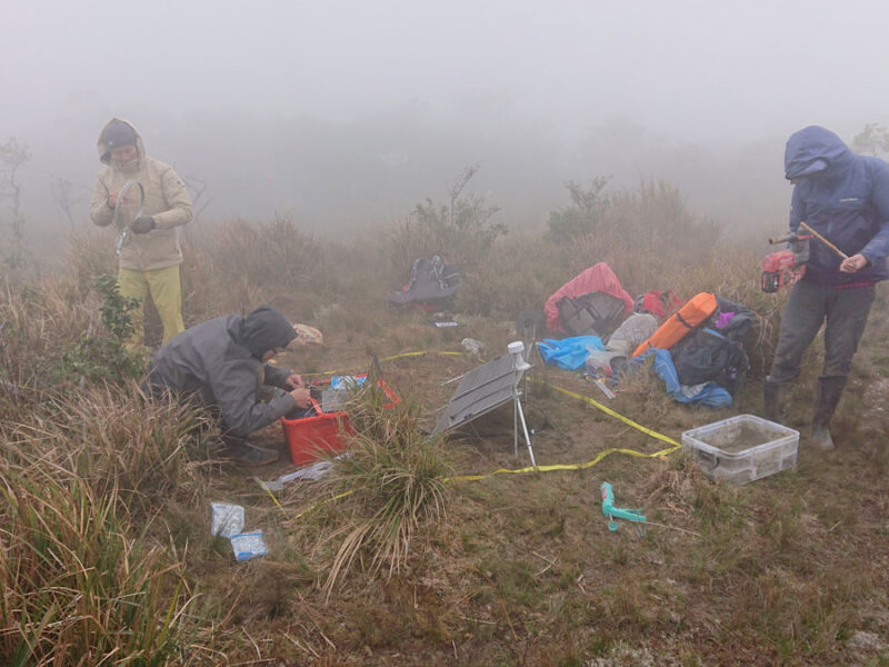 Seismic Attenuation Techniques Reveal What Lies Beneath Taiwan