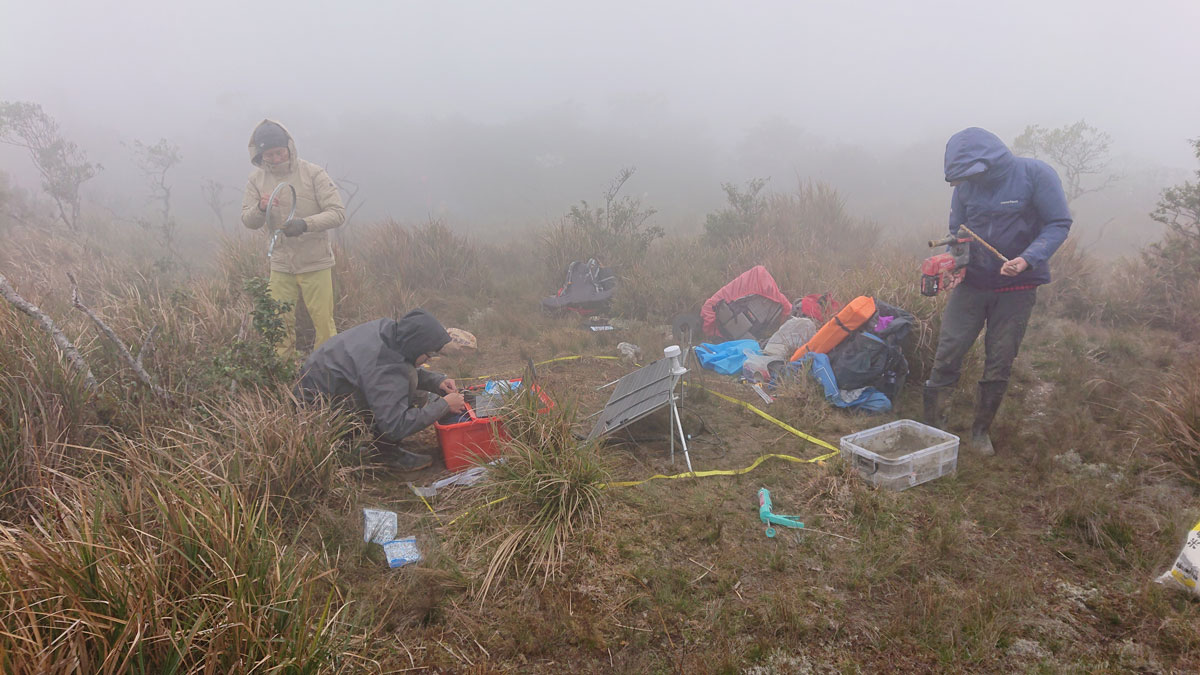 Three researchers huddle around camping equipment and scientific instruments in a grassy area on a foggy day.