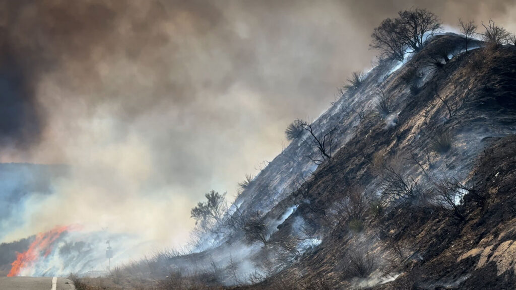 A burnt, smoky hillside with burnt trees lies along a road.