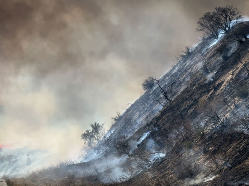 Low Snow in Eurasia Linked to Wildfires in California