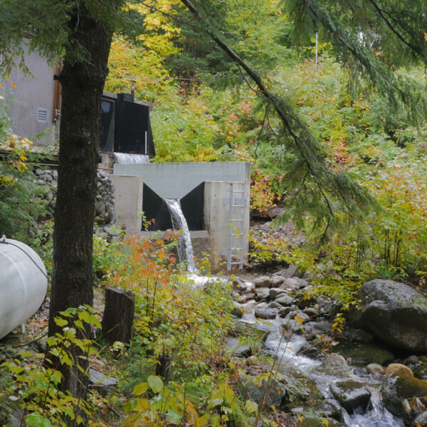 The Governance Gap Threatening Long-Term Ecological Archives
