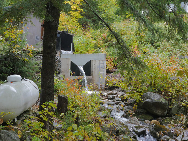 The Governance Gap Threatening Long-Term Ecological Archives