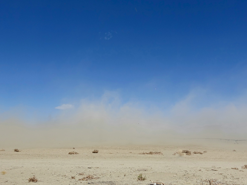 Seeing Earth’s Most Common Minerals from Space