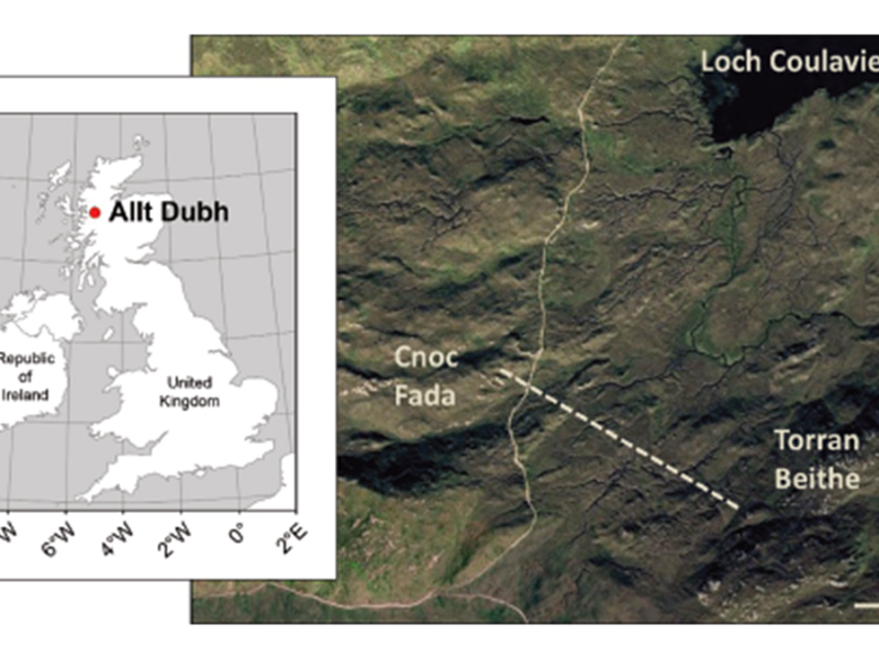 Model of Complex Blanket Bog Improves Prediction of Peat Expansion