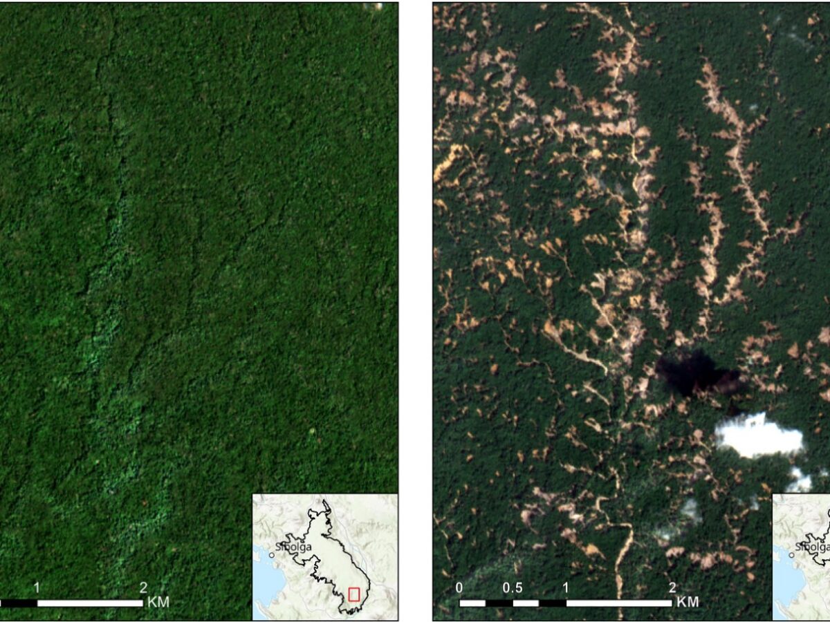 Before and after satellite imagery of the impacts of Cyclone Senyar.