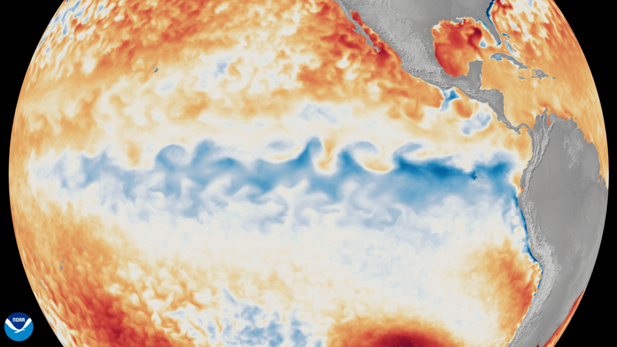 A gif of the EArth shows a pattern of red and blue swirling over the tropical Pacific Ocean.