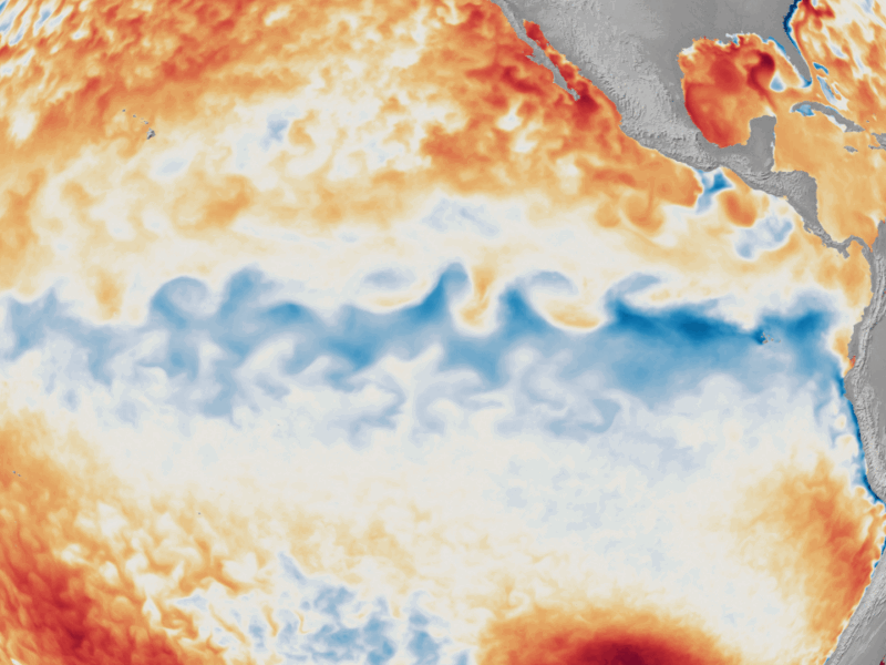 6 Ways This Year’s “Super El Niño” Could Affect Climate, Humans, and Marine Creatures