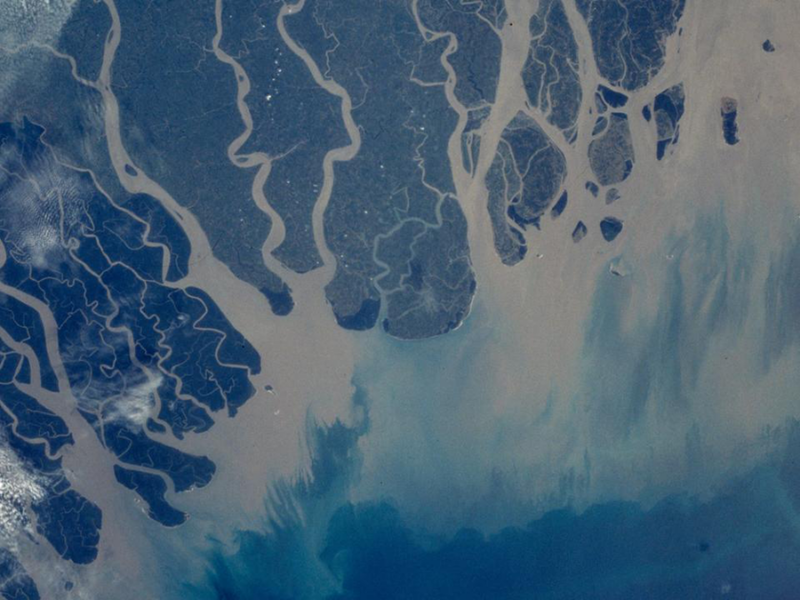 Shoreline Migration, Sediment Accumulation, and Blue Carbon Storage