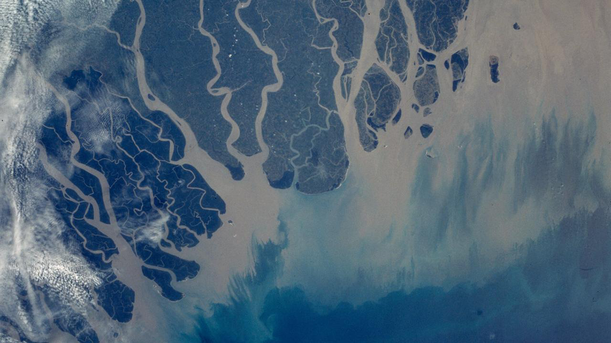 Satellite image of the Ganges River Delta.