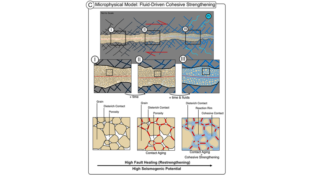 Diagram from the article.