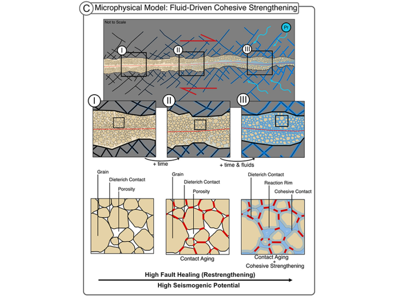 Fluid-Driven Reactions Restore Fault Strength Between Earthquakes