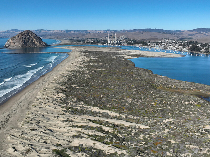 Extensive Sand Dune Loss Threatens California Coast