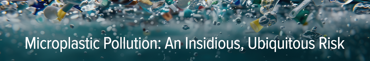 Many colorful pieces of plastic float in blue water. Over the water appear the words “Microplastic pollution: An insidious, ubiquitous risk.”