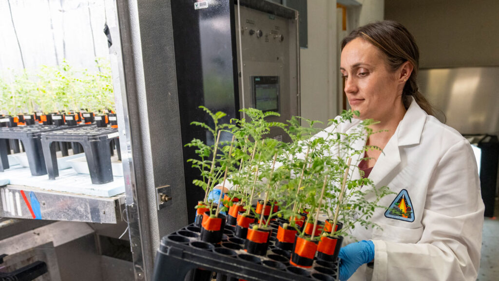 Jess Atkin: Space Biologist Enriches Soil and the Lives of Fellow Veterans