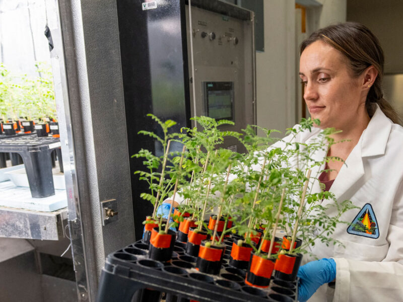 Jess Atkin: Space Biologist Enriches Soil and the Lives of Fellow Veterans