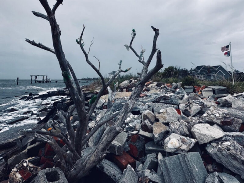 Confronting Salty Problems in the Coastal Plain