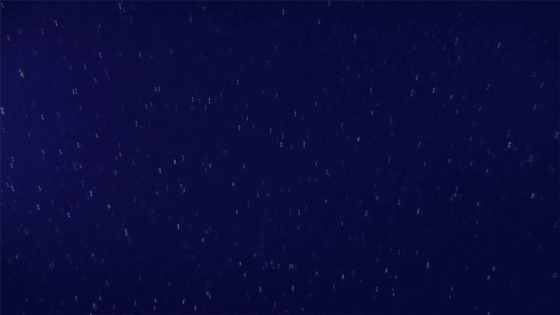 Myriad flecks of light-colored material, along with long, thin sea creature, are seen in the dark blue ocean.