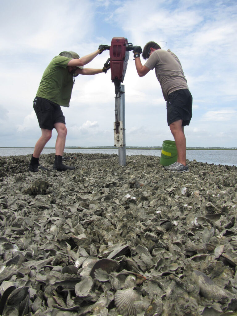 Two researchers stand atop an oyster reef that is exposed above water. They hold either side of a jackhammer that is pushing a metal tube into the reef to collect a core.