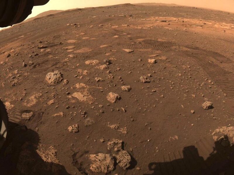 Perseverance Spots Organic Matter on Mars