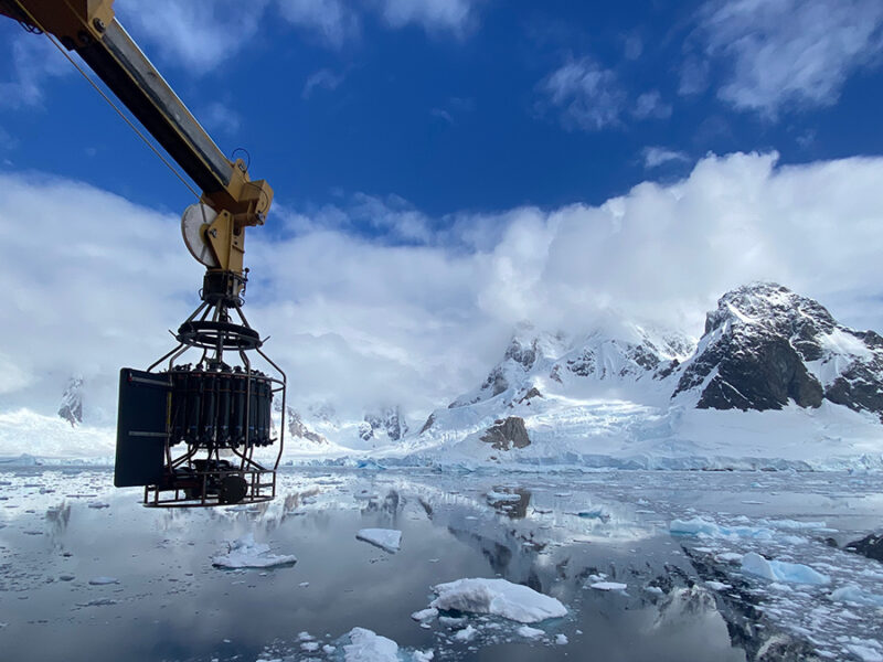 Machine Learning Rediscovers Equations Governing Ocean Biogeochemistry