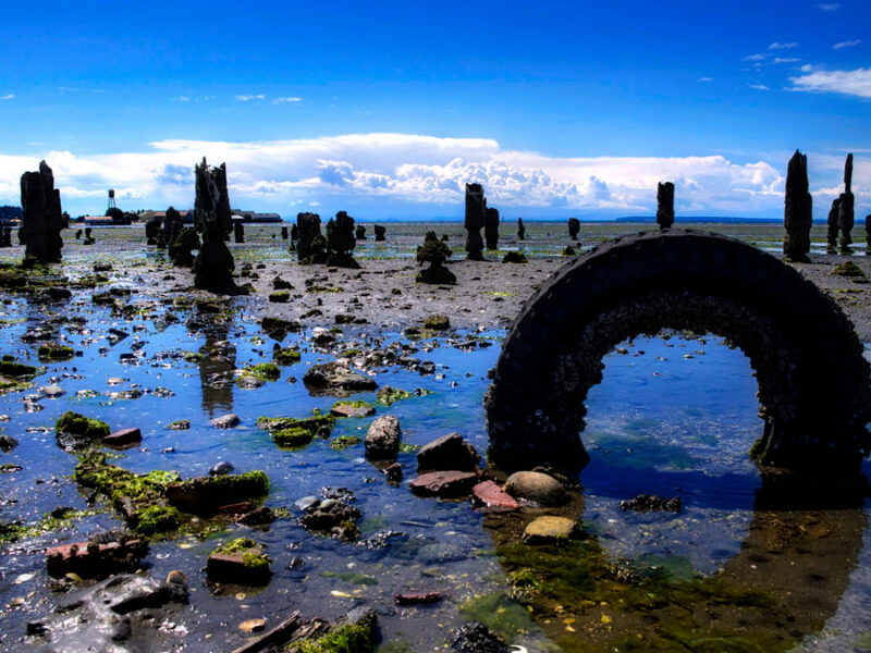 What Tires Leave Behind Can Become Toxic Fish Food