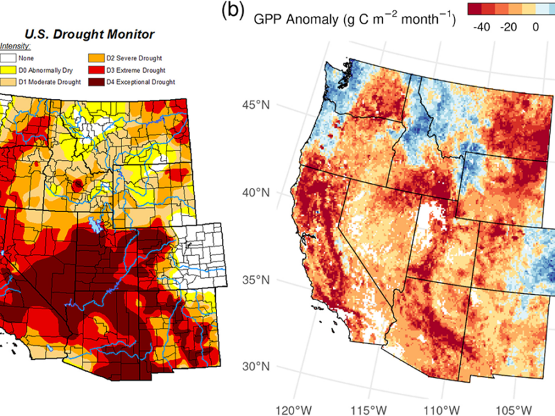 A Satellite-Based Global Carbon Flux Product is Sensitive to Droughts 