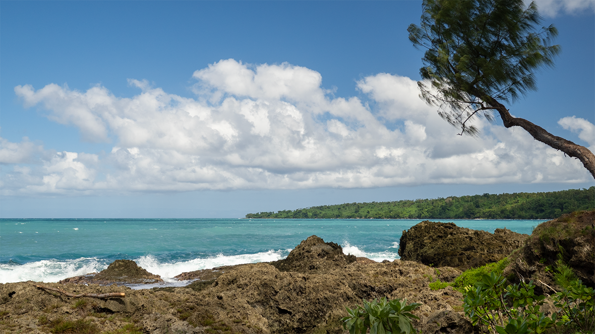 Photo of a coral-lined coast.