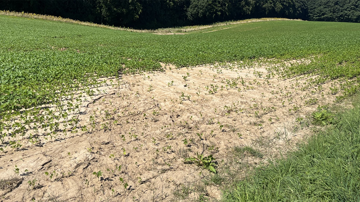 Photo of an eroded crop field.