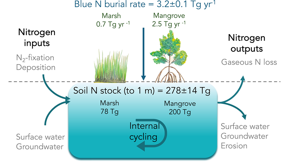 Diagram from the study.