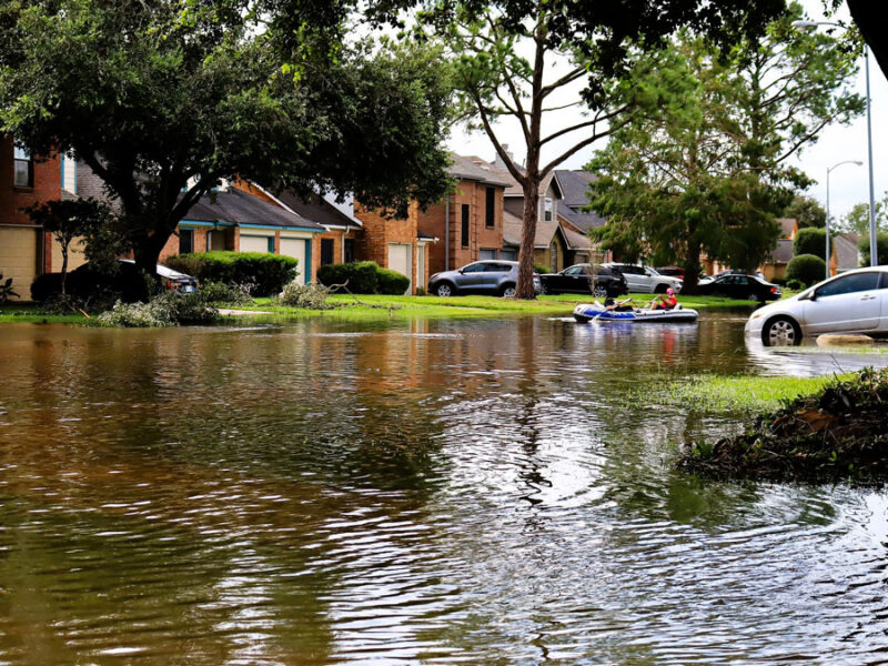 Calculating the Costs of Wetland Loss