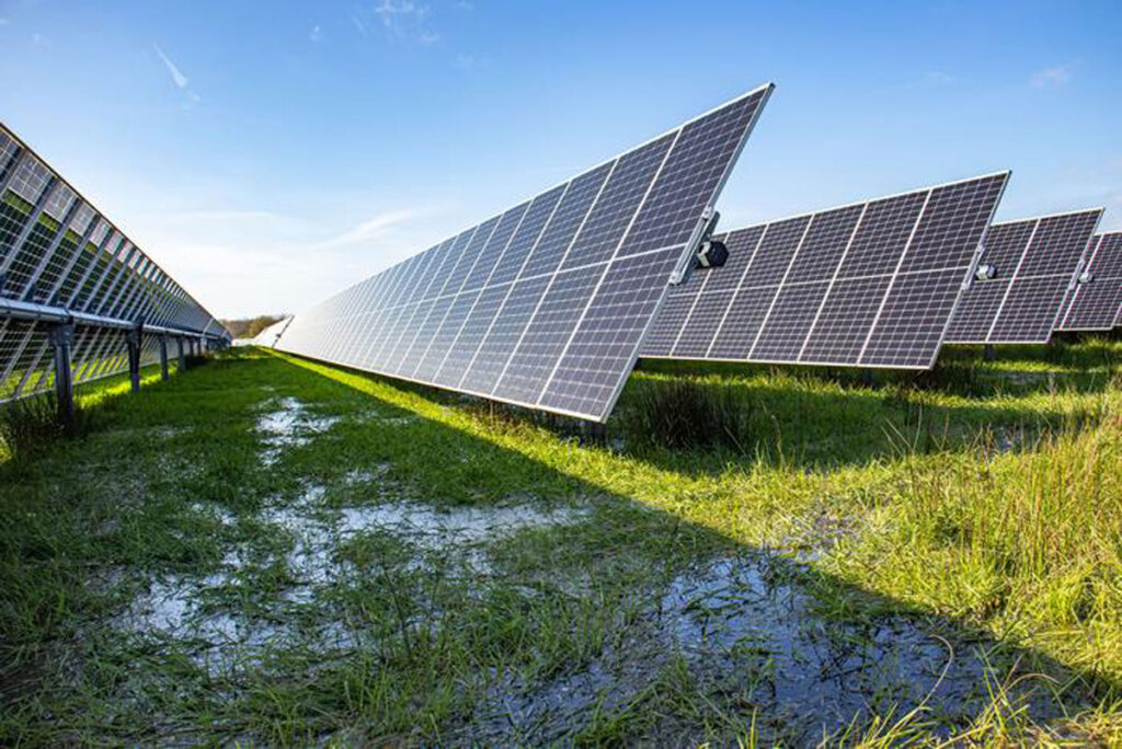 A row of five solar panels is visible on an area of wet grass.
