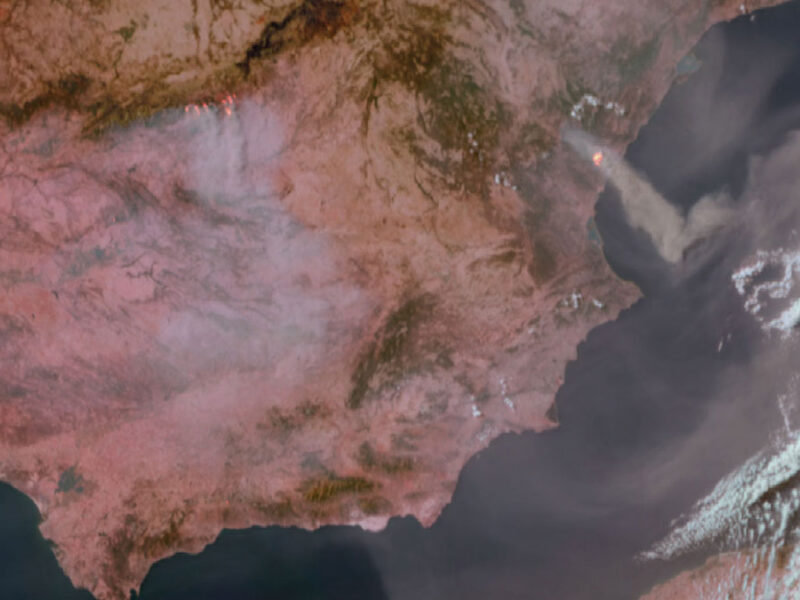 Heat, Drought, Wildfires: Climate Change Supercharges Disasters in Europe
