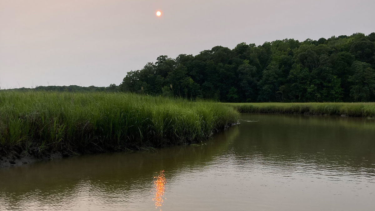 In a photo taken from a boat or dock, visible in the foreground, a red moon is reflected on the surface of a marsh. Green trees are in the background.
