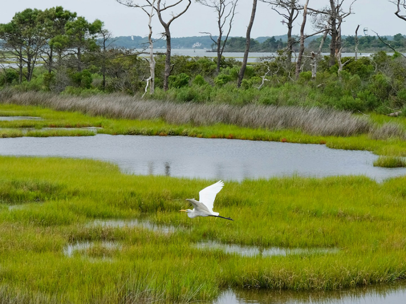 Participation Challenges May Limit Conservation Incentive Programs