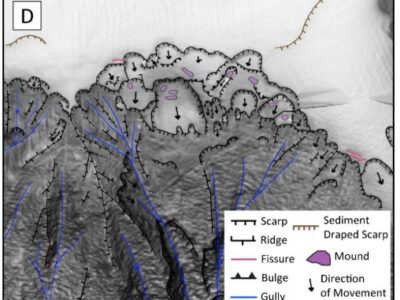 Submarine landslide inventory for the 2016 Kaikōura earthquake