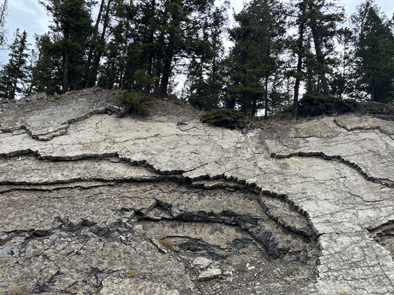 Decoding Rocks to Reveal What the Critical Zone Hides