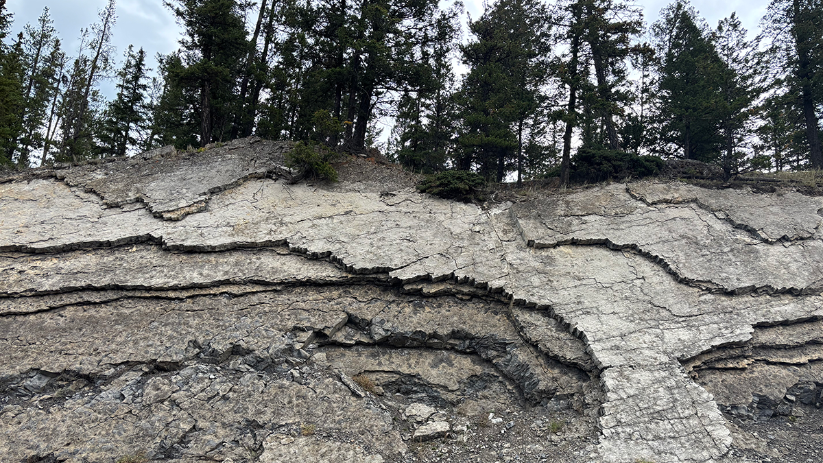A rock outcrop with trees on top.