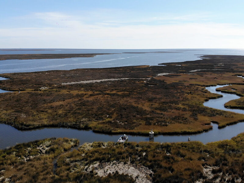 The Under-the-Radar Creeks That Are Sweeping Carbon Out of Salt Marshes