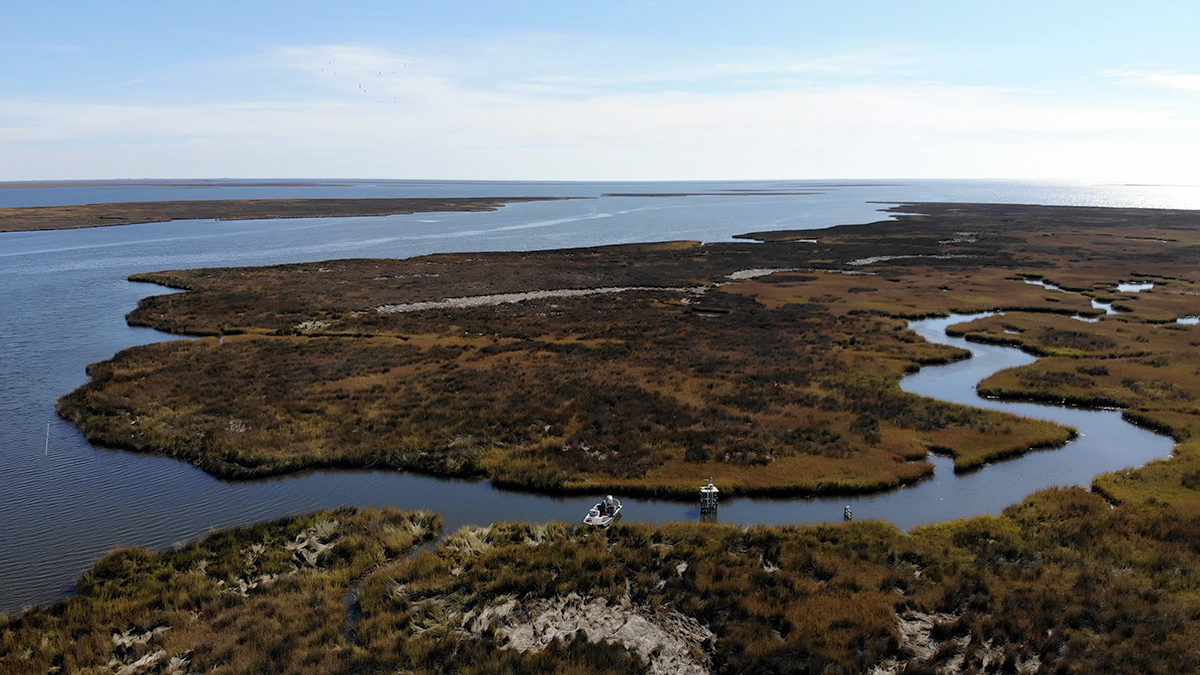 A coastal marsh area shows water winding through an area of brown and green grasses. A boat is visible in the waterway.