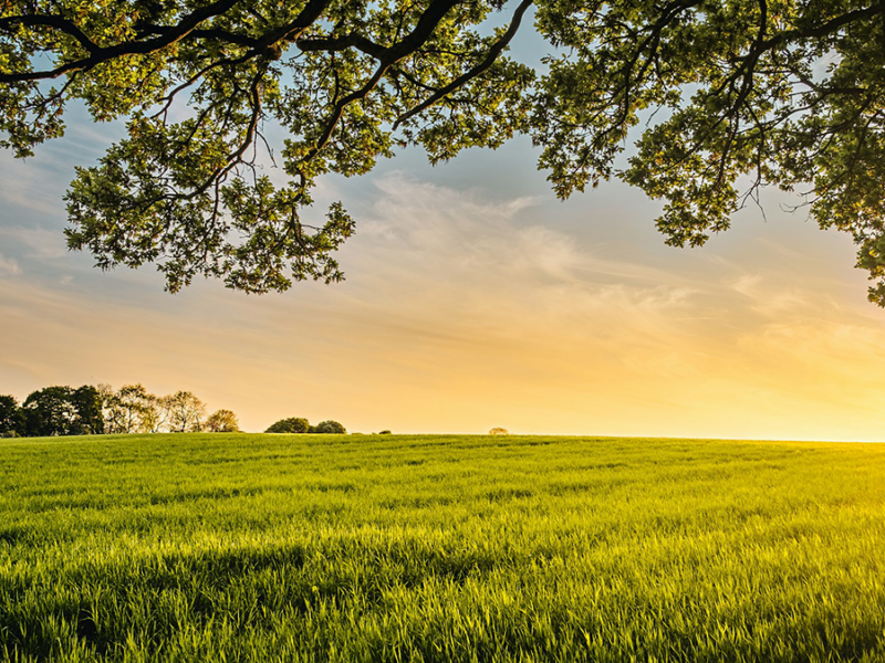Measuring What Matters: Farmer-Driven Sustainability Metrics