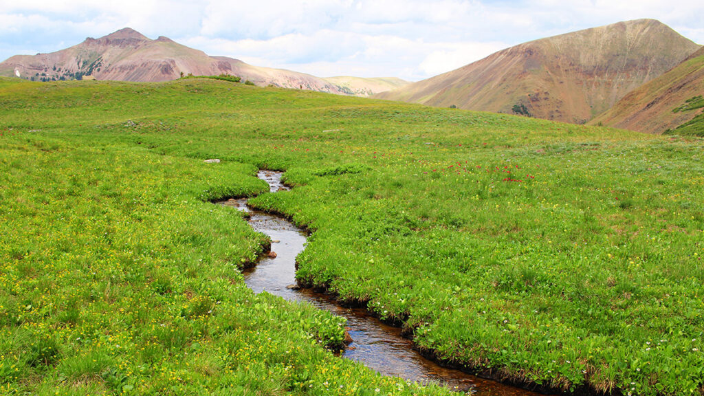 A small stream snakes through a vast field of low, green vegetation in front of arid-looking mountain peaks.