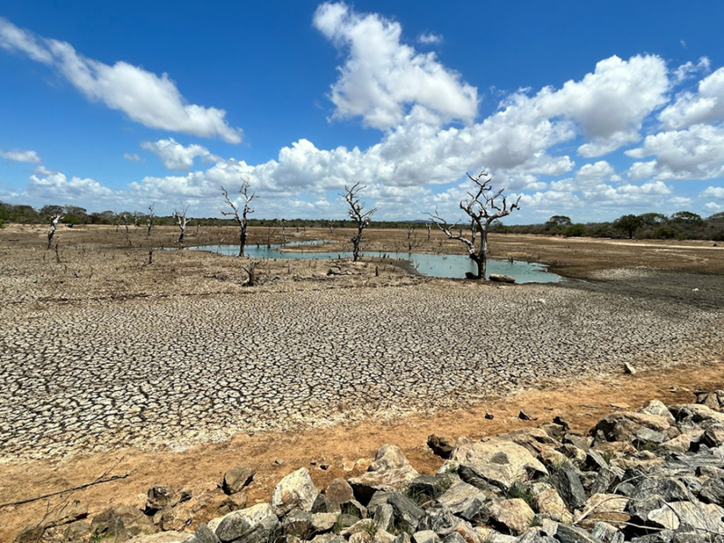 Drought Extremes are Intensifying More Rapidly Than in the Past