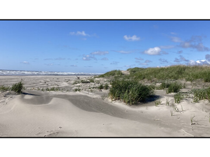 Long-Term Datasets are Essential to Understanding Coastal Change