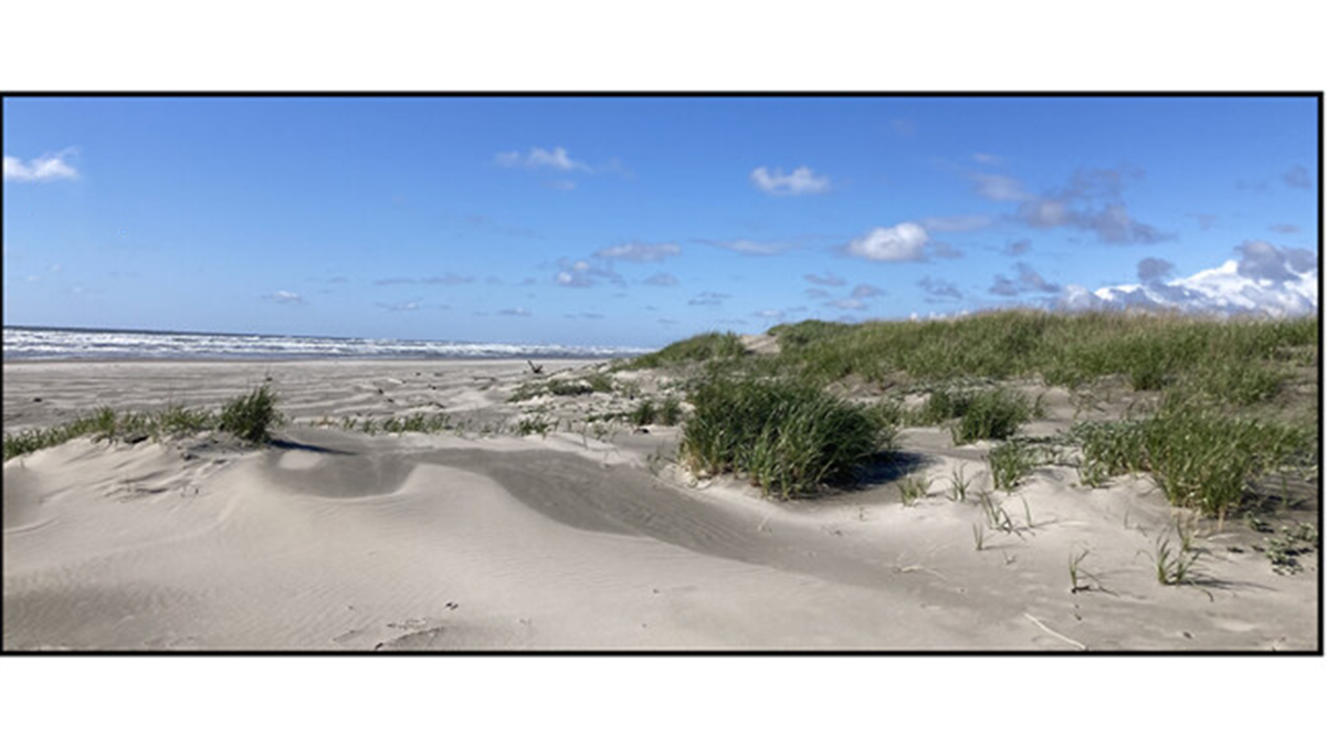 A shoreline.