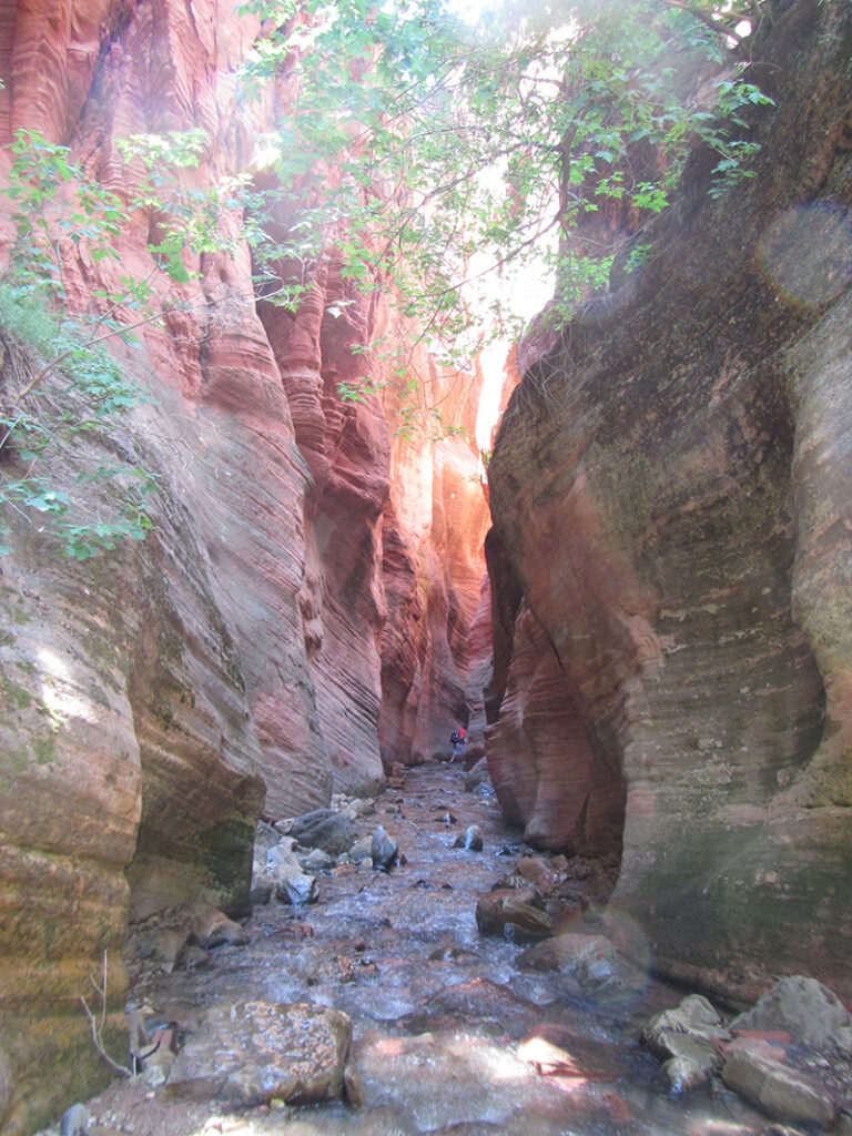 A creek flows down through a narrow canyon with steep, high red sandstone walls on either side.